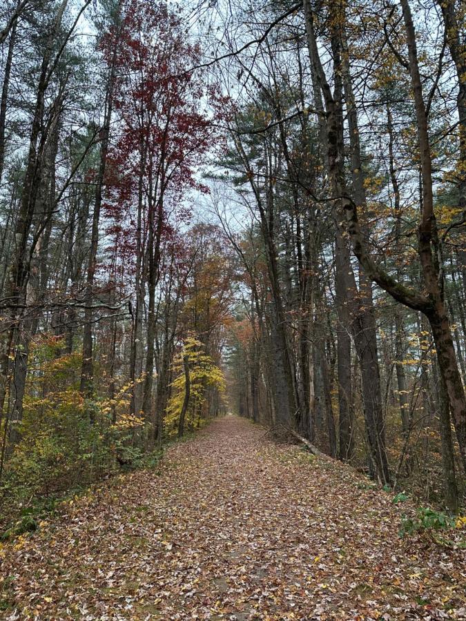 Escape To A Streamside Cabin In The Lower Catskills Wurtsboro Eksteriør billede