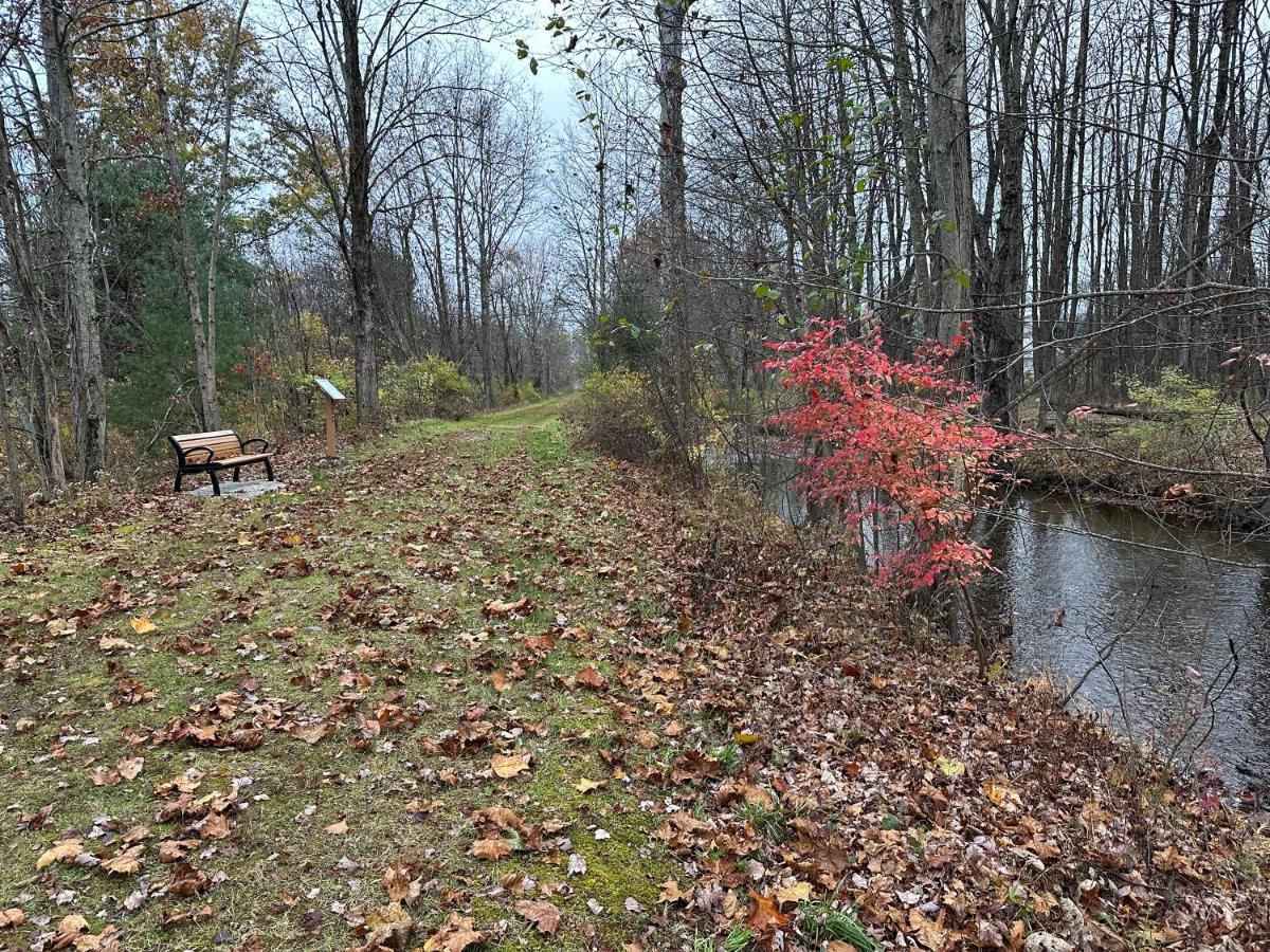 Escape To A Streamside Cabin In The Lower Catskills Wurtsboro Eksteriør billede